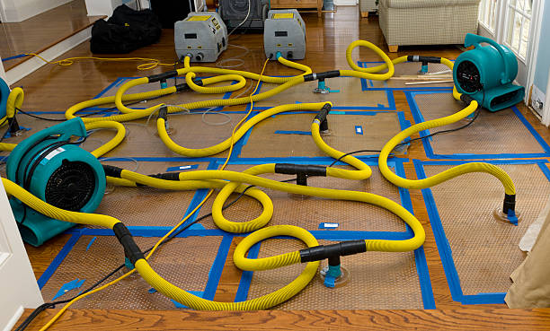 Professional Burst Pipe Water Damage technician working in Newport, KY